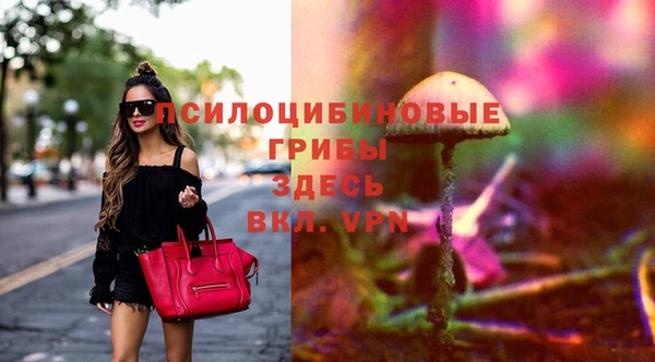 ECSTASY Бугульма
